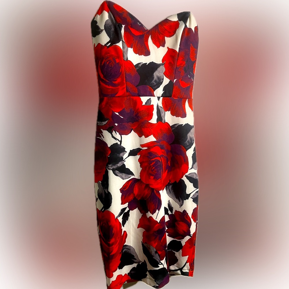 B DARLIN size 5/6 Rose Print Maxi